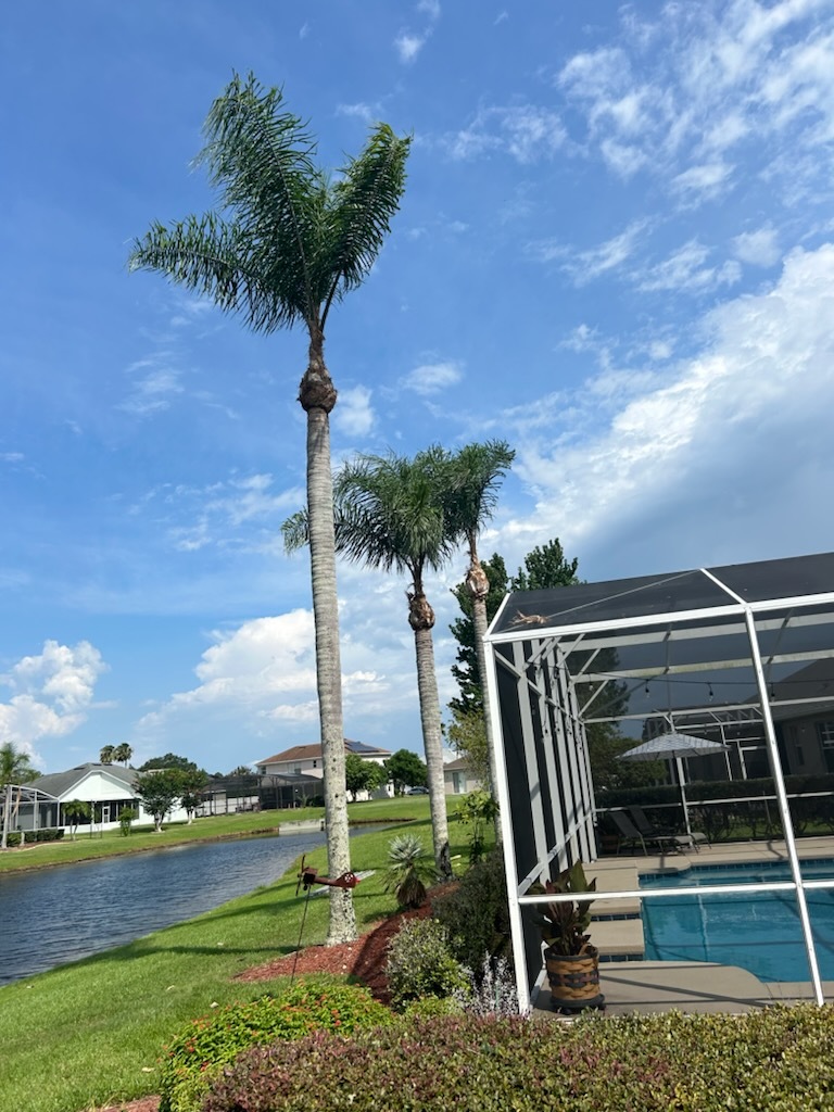 Gallery Image: C&J Tree Service And More LLC