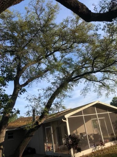 Gallery Image: C&J Tree Service And More LLC