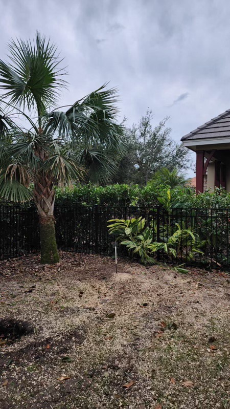 Gallery Image: C&J Tree Service And More LLC