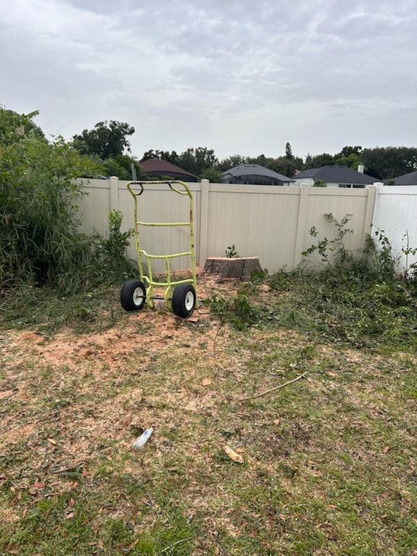 Gallery Image: C&J Tree Service And More LLC