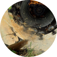 Stump Grinding & Removal